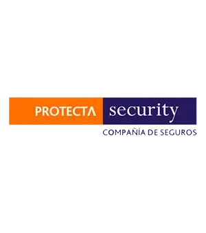 PROTECTA SECURITY